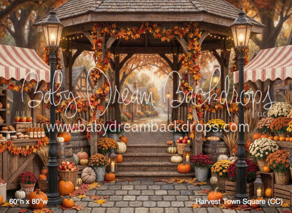 Harvest Town Square (CC)