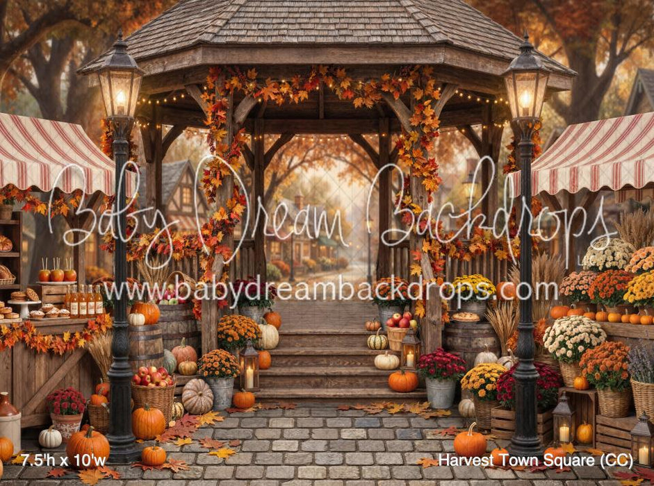 Harvest Town Square (CC)