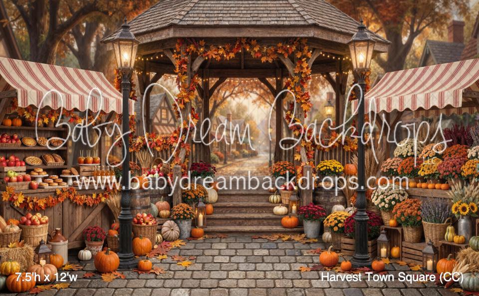 Harvest Town Square (CC)