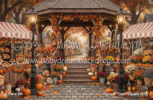 Harvest Town Square (CC)