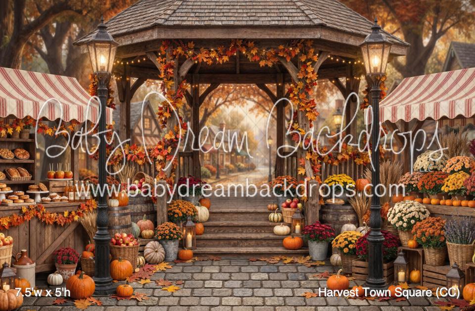 Harvest Town Square (CC)