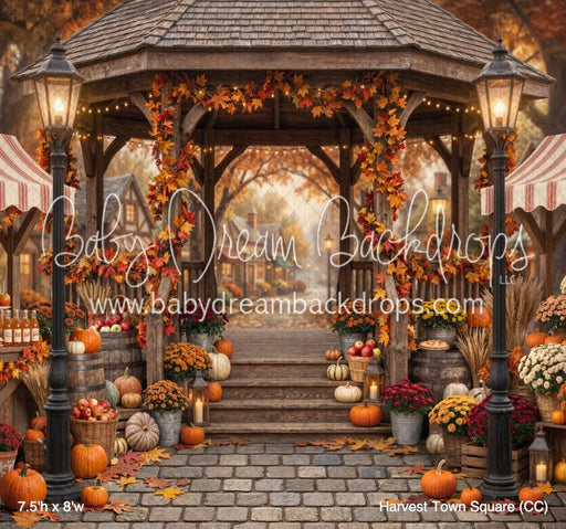 Harvest Town Square (CC)