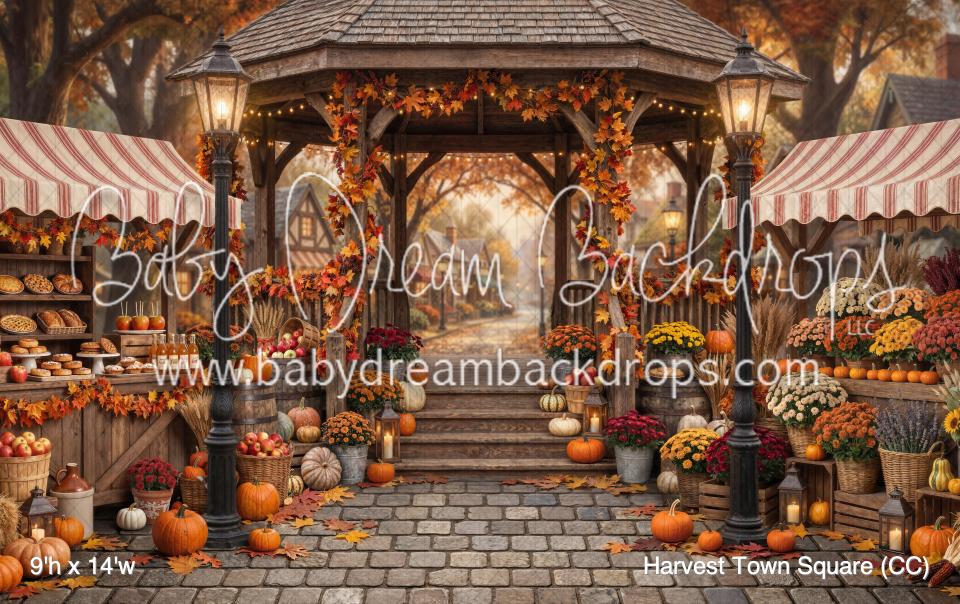 Harvest Town Square (CC)