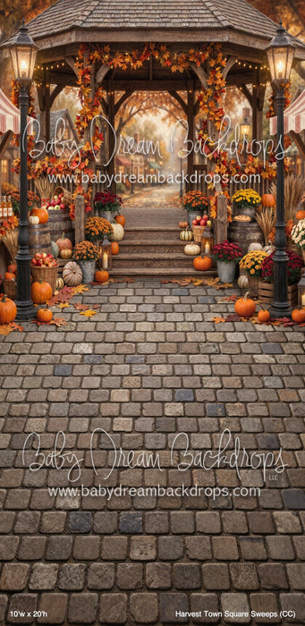 Harvest Town Square Sweeps (CC)