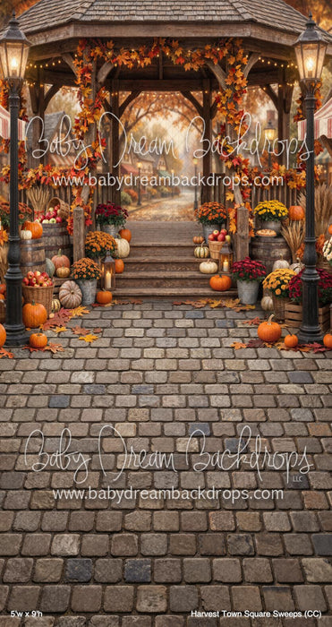 Harvest Town Square Sweeps (CC)