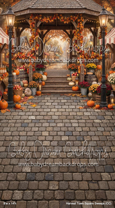 Harvest Town Square Sweeps (CC)