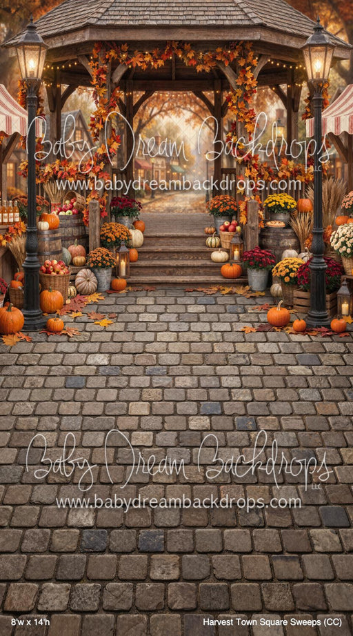 Harvest Town Square Sweeps (CC)