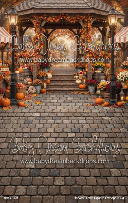 Harvest Town Square Sweeps (CC)