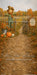 Harvest Welcome Sweep (CM)