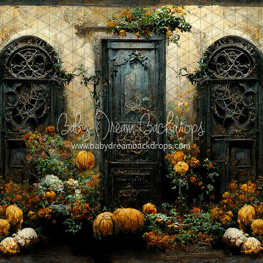 Haunted Home (LL)