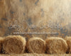 Hay Bales (MD)