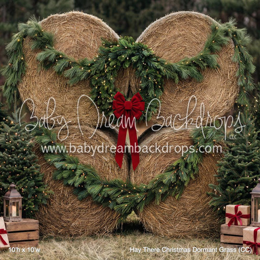Hay There Christmas Dormant Grass (CC)