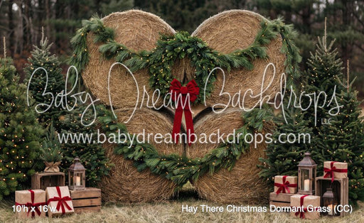 Hay There Christmas Dormant Grass (CC)