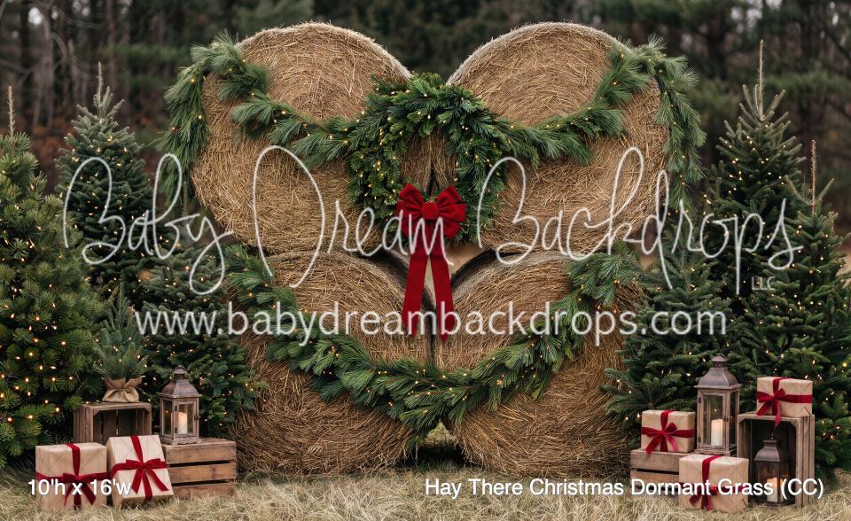 Hay There Christmas Dormant Grass (CC)
