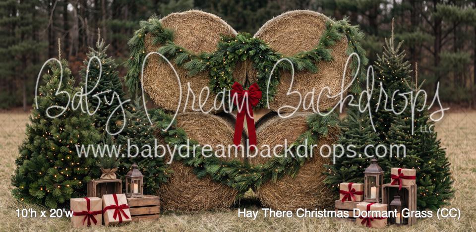 Hay There Christmas Dormant Grass (CC)