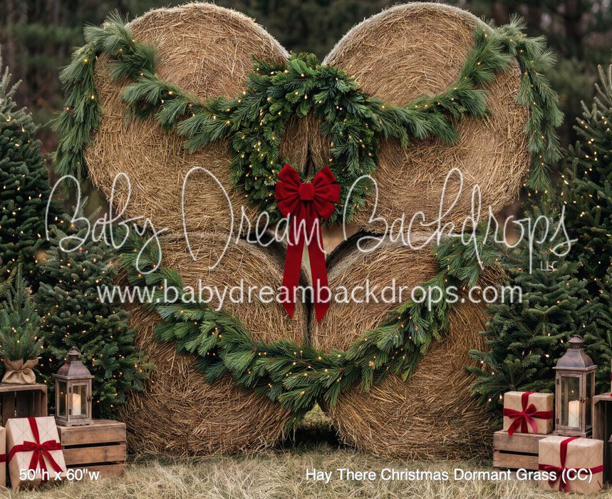 Hay There Christmas Dormant Grass (CC)