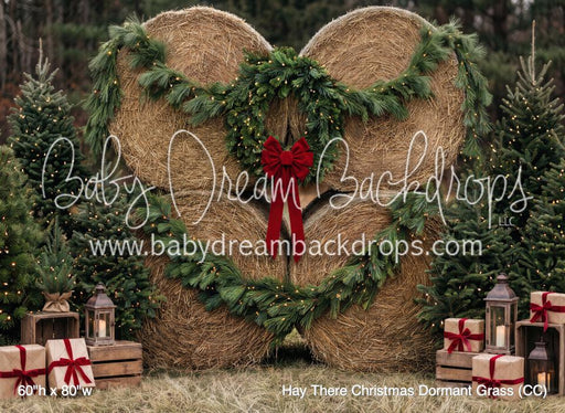 Hay There Christmas Dormant Grass (CC)