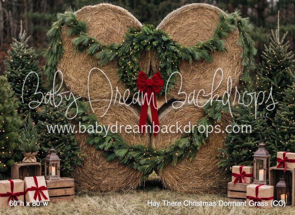 Hay There Christmas Dormant Grass (CC)