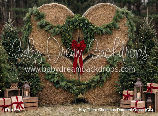 Hay There Christmas Dormant Grass (CC)