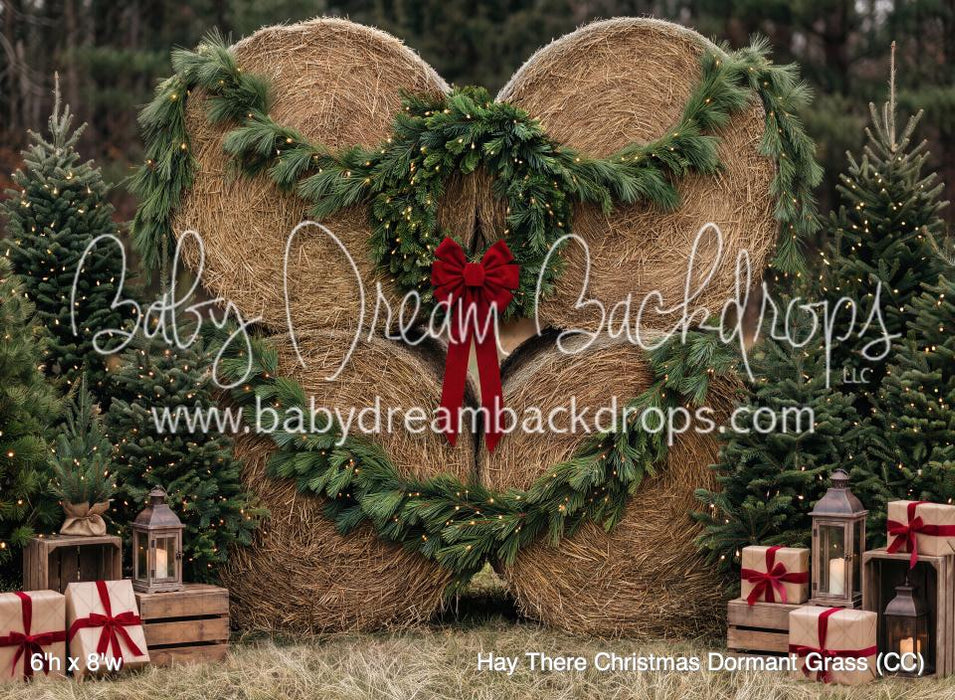 Hay There Christmas Dormant Grass (CC)