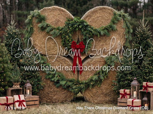 Hay There Christmas Dormant Grass (CC)