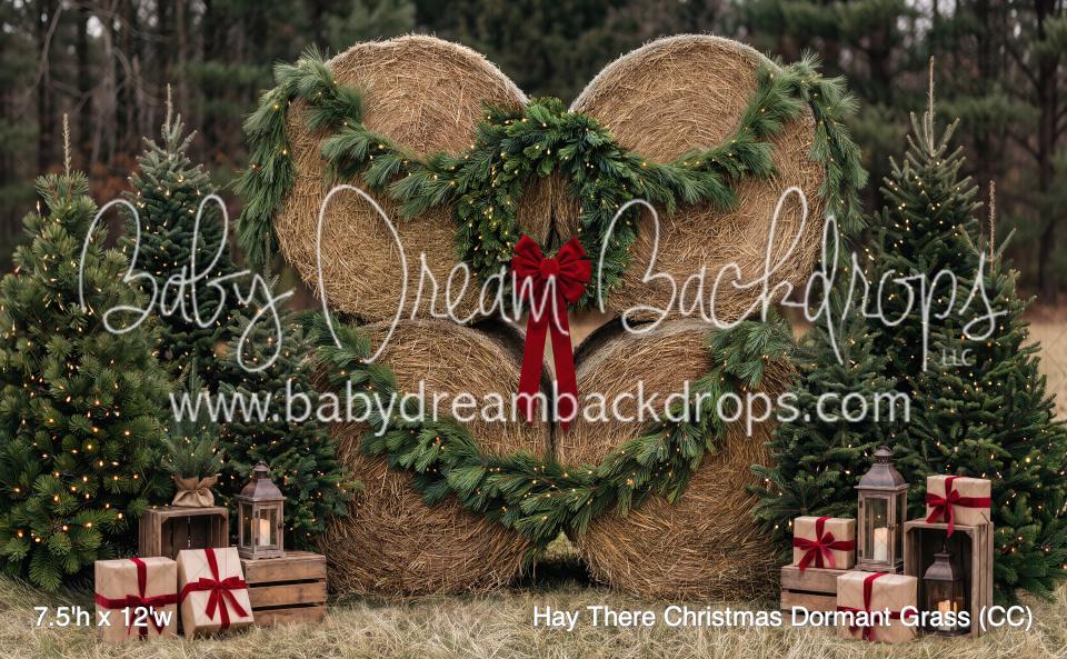 Hay There Christmas Dormant Grass (CC)