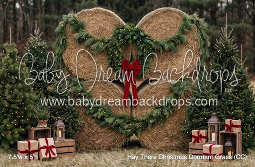 Hay There Christmas Dormant Grass (CC)