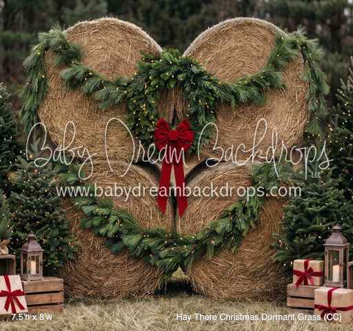 Hay There Christmas Dormant Grass (CC)
