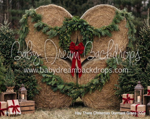 Hay There Christmas Dormant Grass (CC)