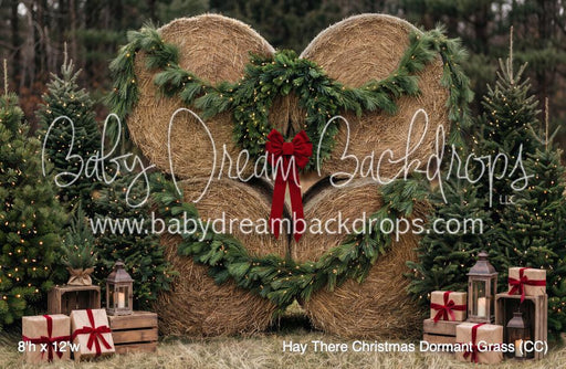 Hay There Christmas Dormant Grass (CC)