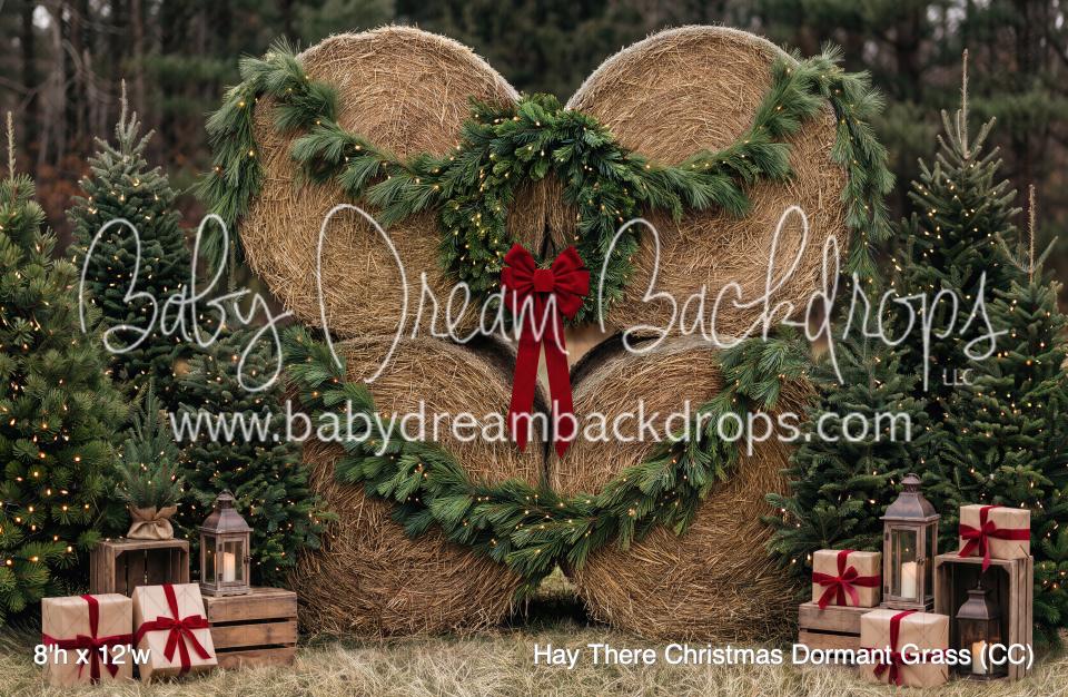 Hay There Christmas Dormant Grass (CC)