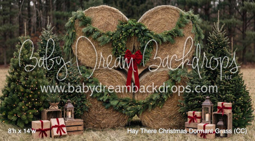 Hay There Christmas Dormant Grass (CC)