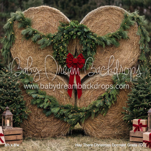 Hay There Christmas Dormant Grass (CC)
