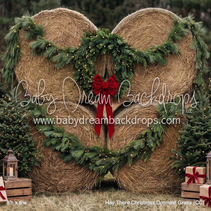 Hay There Christmas Dormant Grass (CC)
