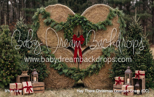 Hay There Christmas Dormant Grass (CC)