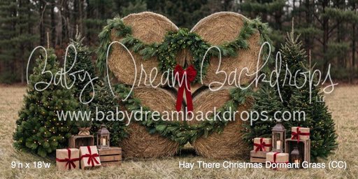 Hay There Christmas Dormant Grass (CC)