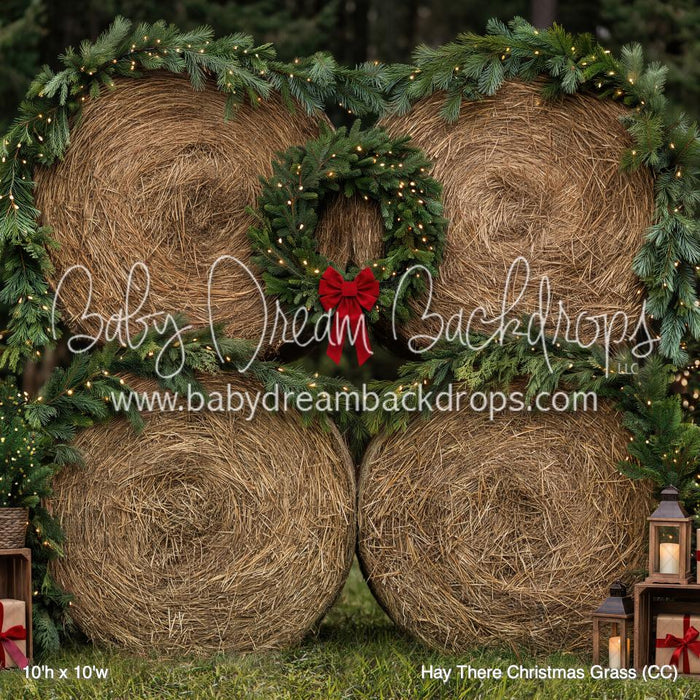 Hay There Christmas Grass (CC)