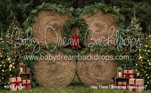 Hay There Christmas Grass (CC)