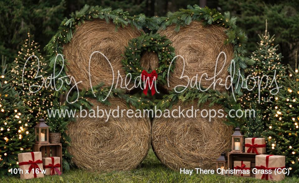 Hay There Christmas Grass (CC)