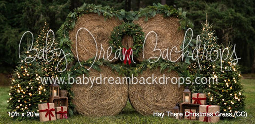 Hay There Christmas Grass (CC)