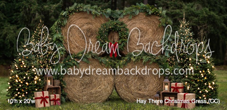 Hay There Christmas Grass (CC)