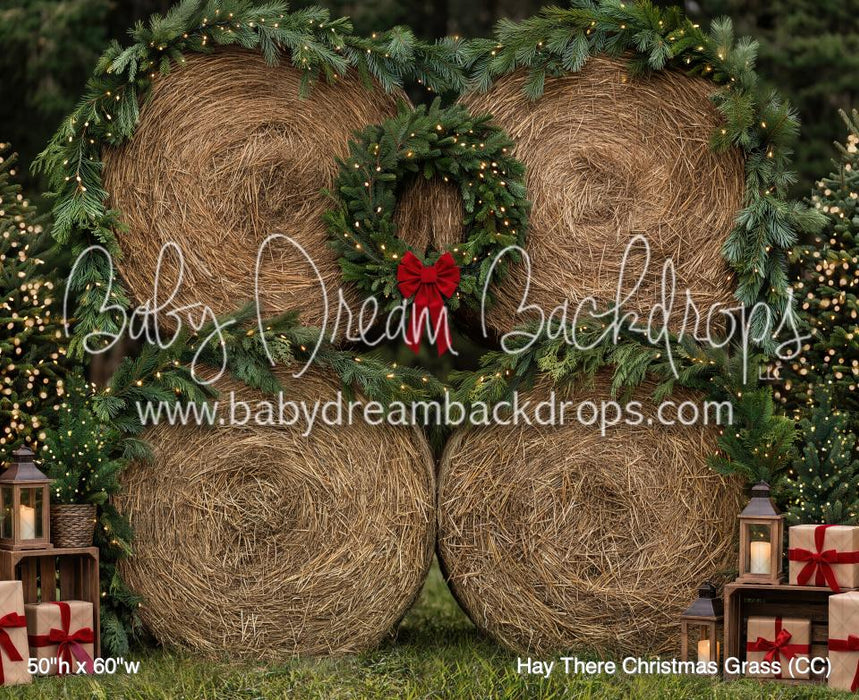 Hay There Christmas Grass (CC)