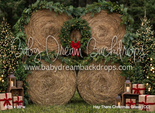 Hay There Christmas Grass (CC)
