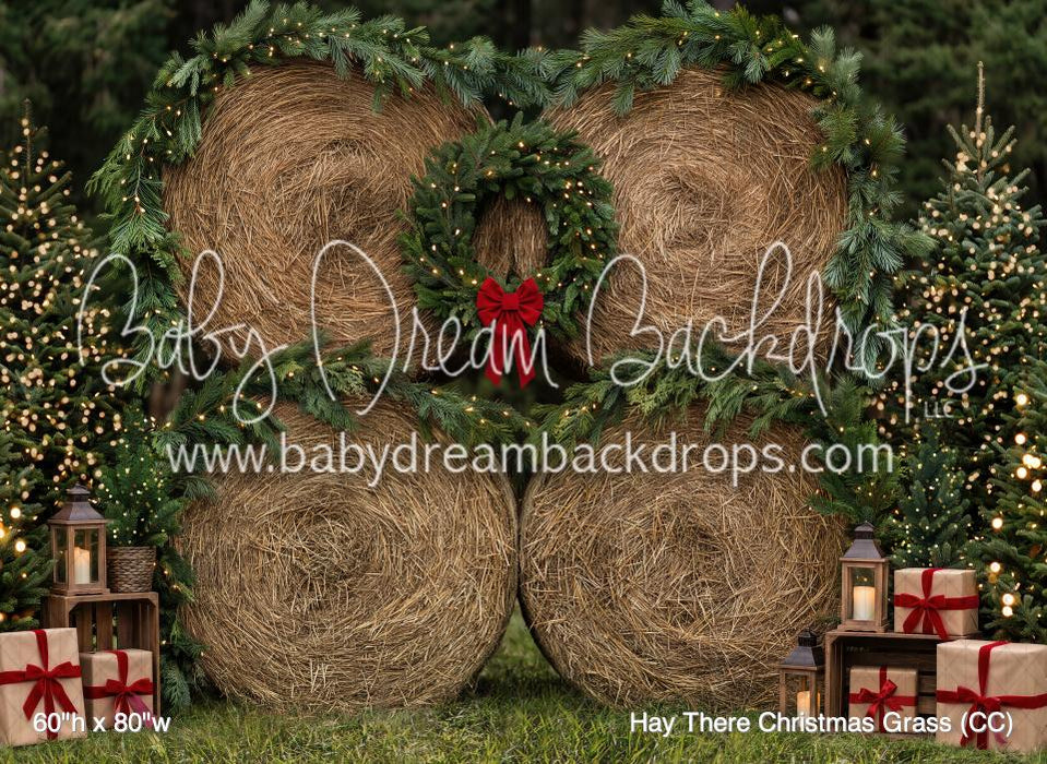 Hay There Christmas Grass (CC)