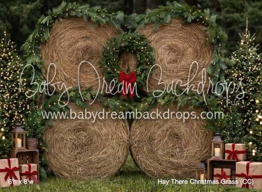 Hay There Christmas Grass (CC)
