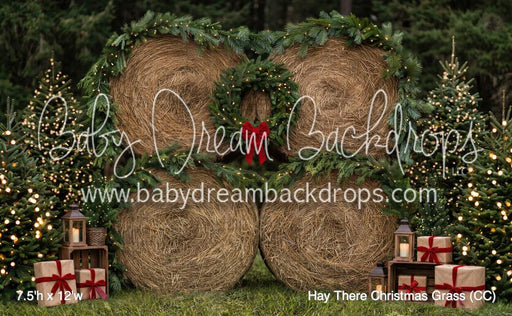Hay There Christmas Grass (CC)