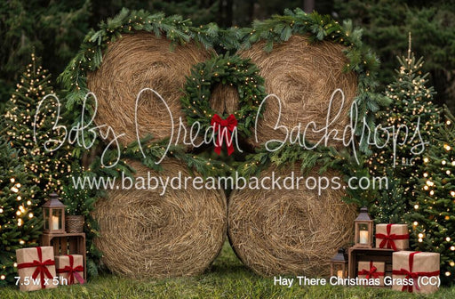 Hay There Christmas Grass (CC)