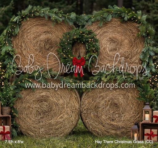 Hay There Christmas Grass (CC)