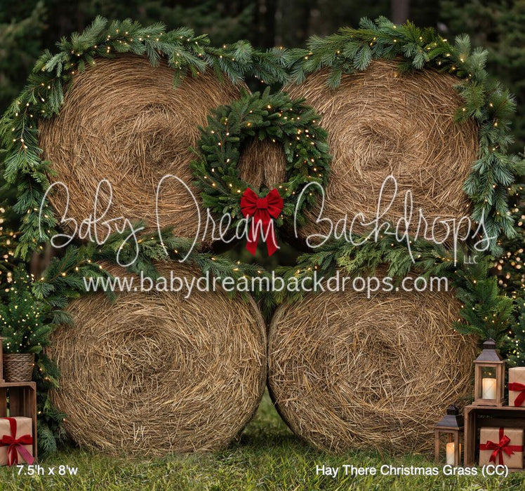 Hay There Christmas Grass (CC)