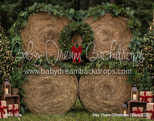 Hay There Christmas Grass (CC)